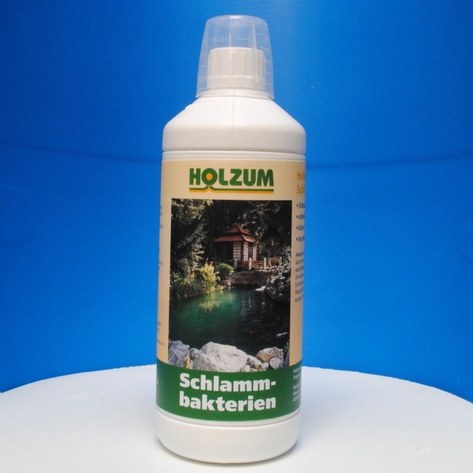 Pumpen Holzum GmbH