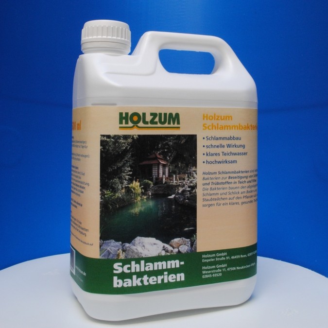 Pumpen Holzum GmbH