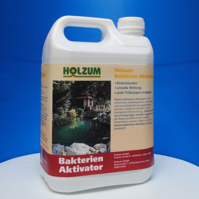 Pumpen Holzum GmbH
