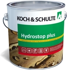 Pumpen Holzum GmbH