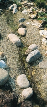 Pumpen Holzum GmbH
