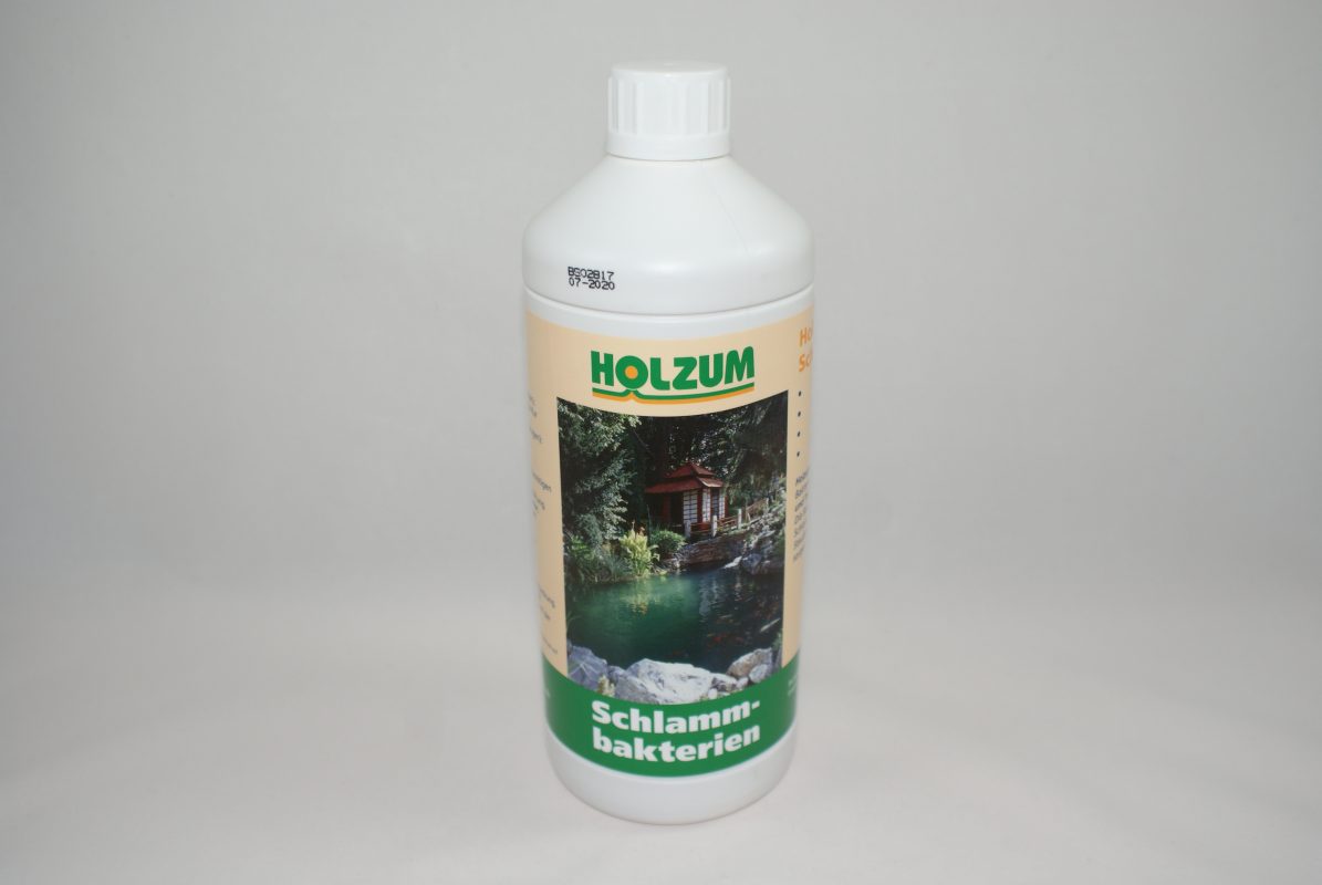 Pumpen Holzum GmbH