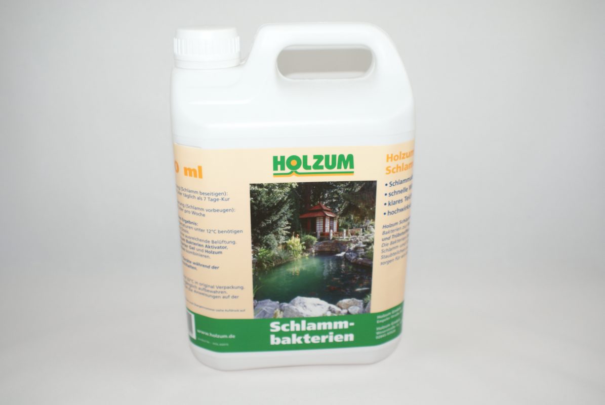 Pumpen Holzum GmbH