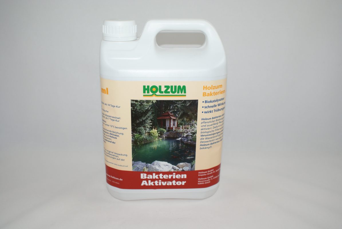 Pumpen Holzum GmbH