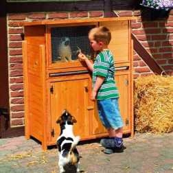 Pumpen Holzum GmbH