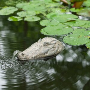 Wasserspeier Krokodil