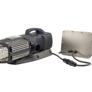 AquaMax Eco Expert 12 V