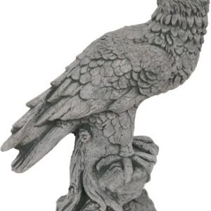 Adler zurückblickend