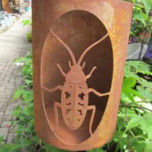 Insektenwindlicht langer Käfer